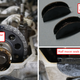 Illustration for article titled My 265,000-Mile Turbo Toyota Pickup Had A Nasty Surprise Lurking Within